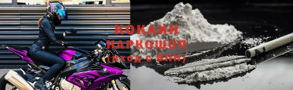 ГАЛЛЮЦИНОГЕННЫЕ ГРИБЫ Аркадак
