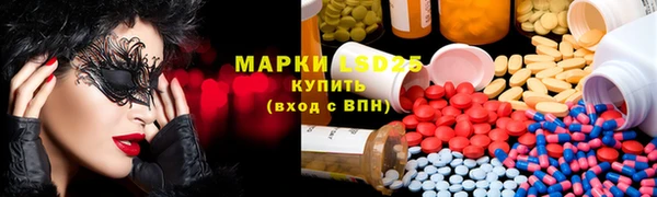 индика Армянск