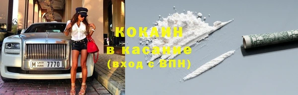 индика Армянск