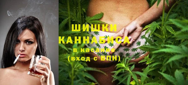 ГАЛЛЮЦИНОГЕННЫЕ ГРИБЫ Аркадак