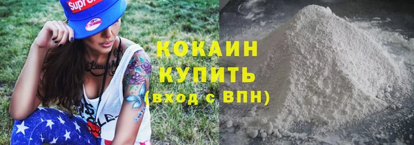 индика Армянск
