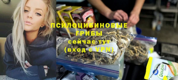 ГАЛЛЮЦИНОГЕННЫЕ ГРИБЫ Аркадак