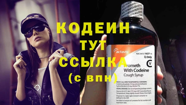 ГАЛЛЮЦИНОГЕННЫЕ ГРИБЫ Аркадак