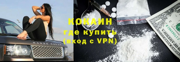 индика Армянск